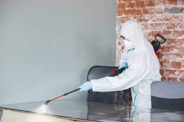 Why You Should Choose Our Mold Remediation Services in Coats Bend, AL