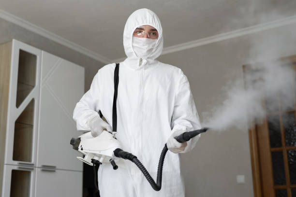 Trusted Coats Bend, AL Mold Removal Experts