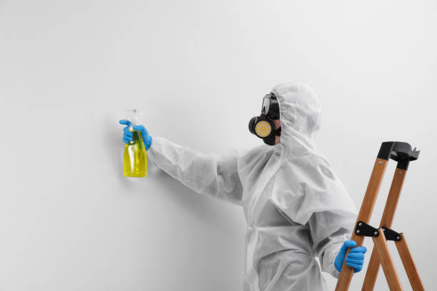 Best Mold Remediation for Healthcare Facilities in Coats Bend, AL